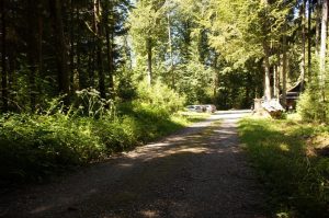 Anfahrt zur Waldhütte Volketswil